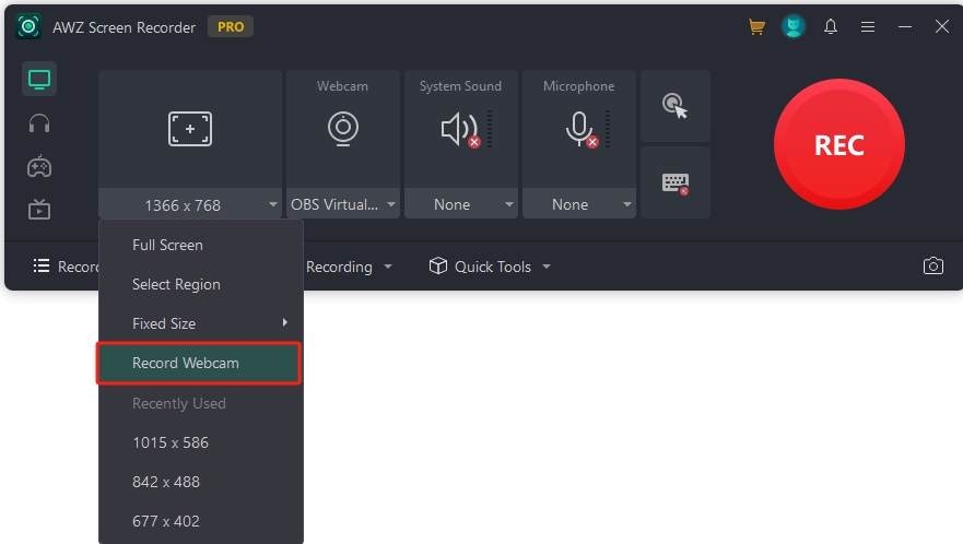 Record in webcam mode