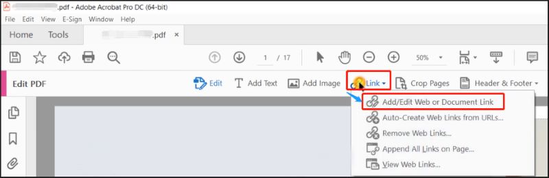 Add or Edit Web or Document Link