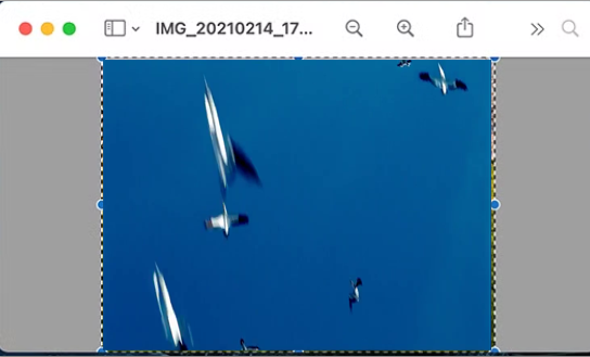 Add Image to PDF in Preview: Detailed Guide step 2