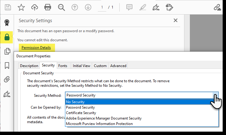 Adobe Security Settings