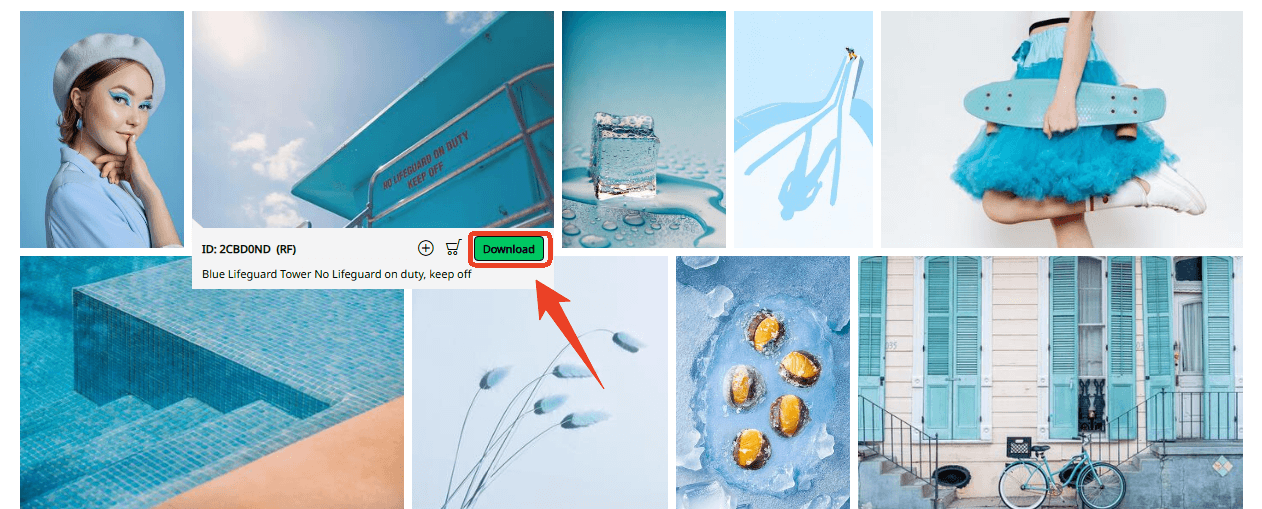 how to Download Images from Alamy