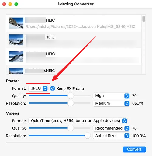 Select the JPEG as the output format in iMazing Converter