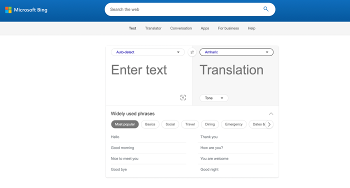 Bing Translator best translation website