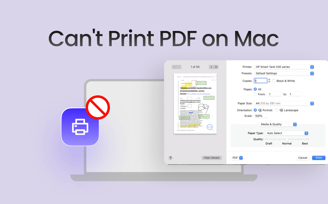 cant-print-pdf-on-mac