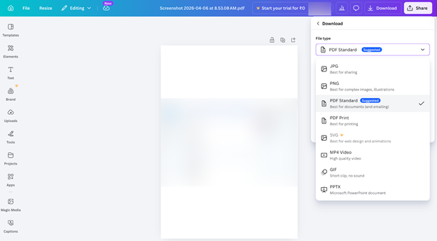 Download PDF from Canva