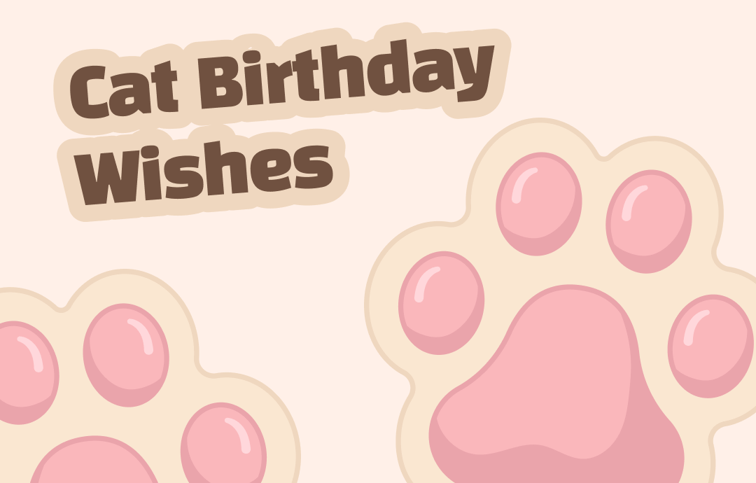 cat-birthday-wishes