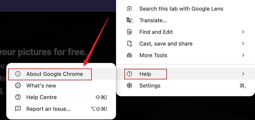 Click Help and select About Google Chrome