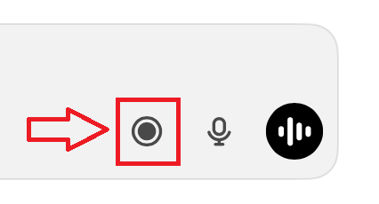Record Button