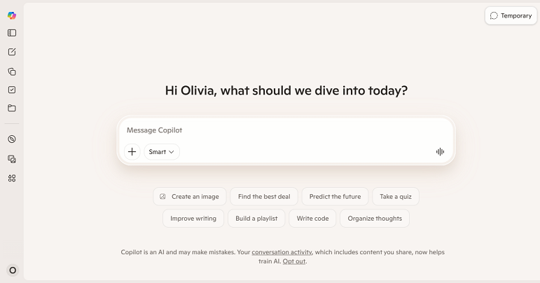 Interface of Copilot