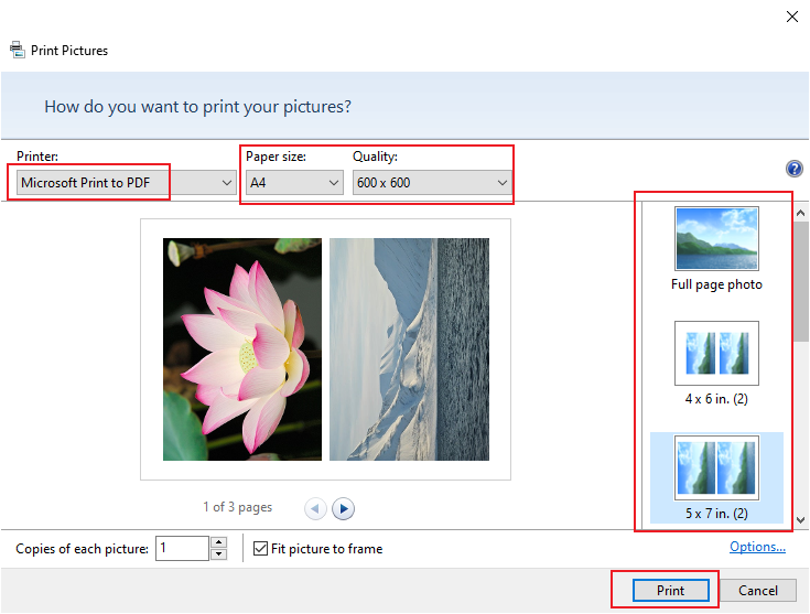 Select the Microsoft Print to PDF option for Printer and customize other settings
