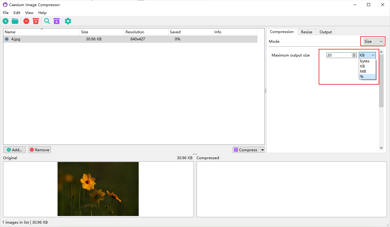 Directly enter the needed image size in Caesium Image Compressor