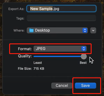 Preview convert HEIC to JPG step 3 | SwifDoo Blog