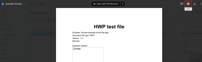 Google Drive for HWP to PDF Conversion