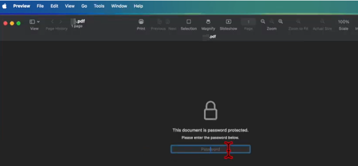 Convert Protected PDF to PDF in Preview 1