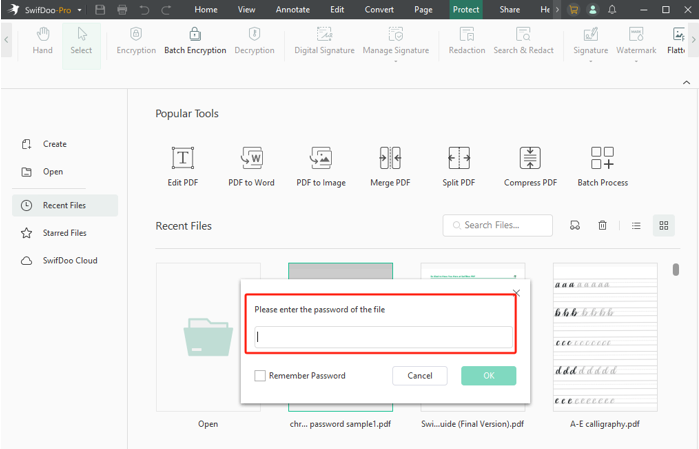 How to Convert Password-Protected PDF to Normal PDF with SwifDoo PDF 1