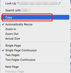Convert PDF to Excel on Mac Using Preview 1