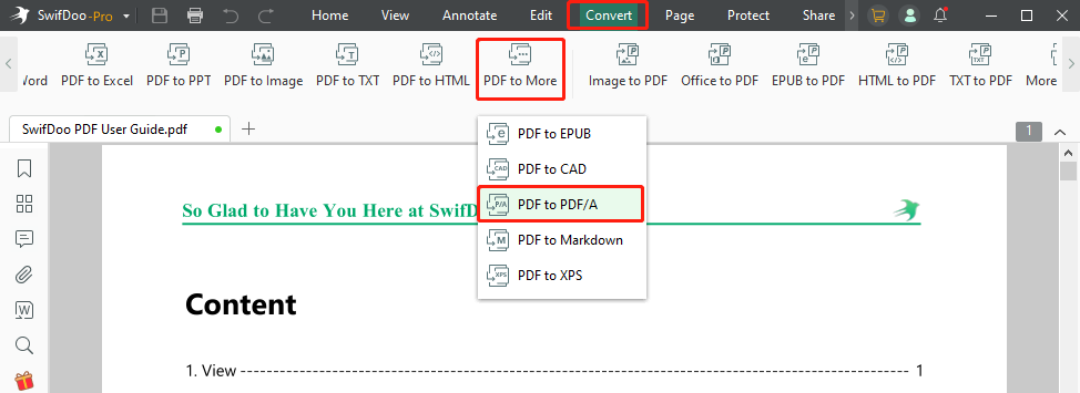 Convert PDF to PDFA with SwifDoo PDF step 2