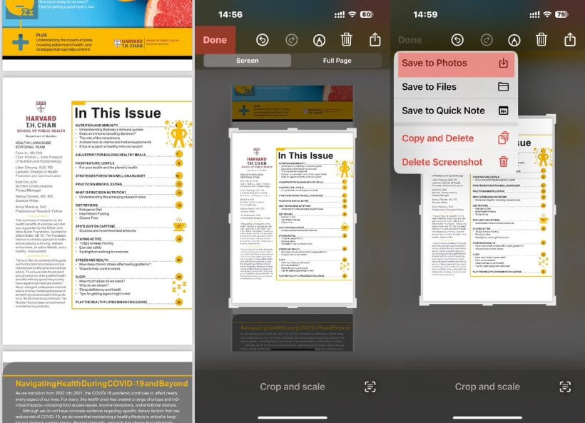 Convert PDF to PNG on iPhone via Screenshot