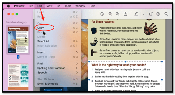Convert PDF to text on Mac 1