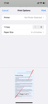 convert-photo-to-pdf-on-iphone-with-print-tab