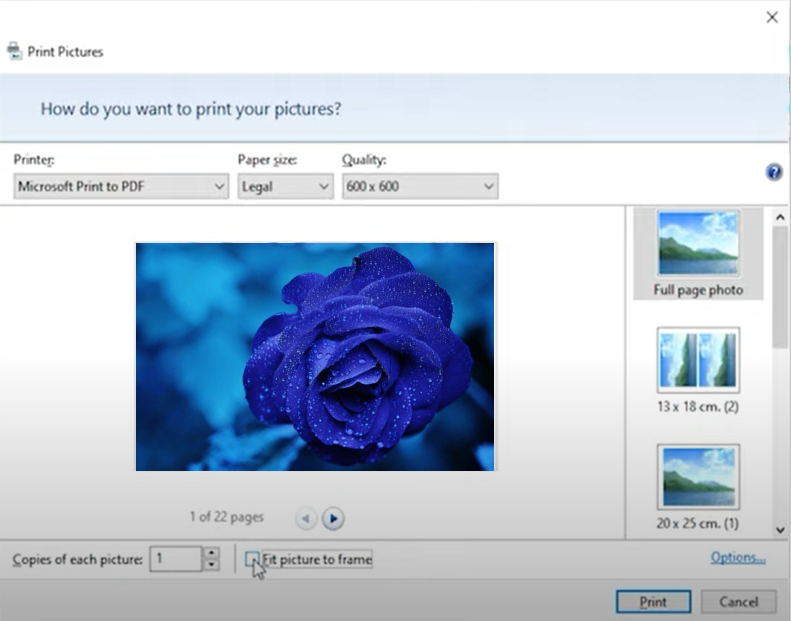 Convert Screenshot to PDF on Windows 5