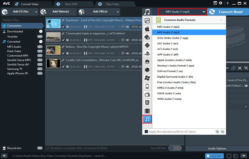 Convert Video to Audio with Any Video Converter