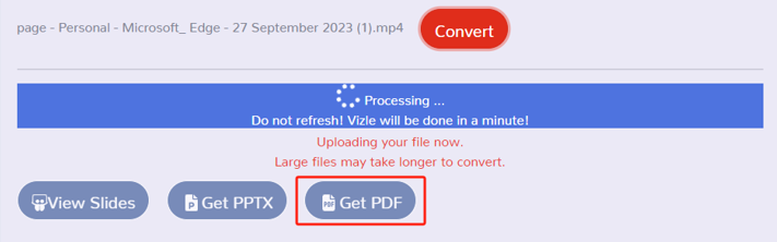 convert video to PDF with Vizle 2