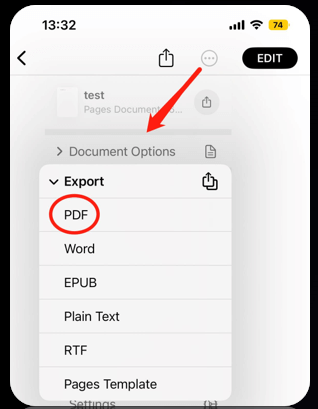 Convert Word to PDF offline in iPhone