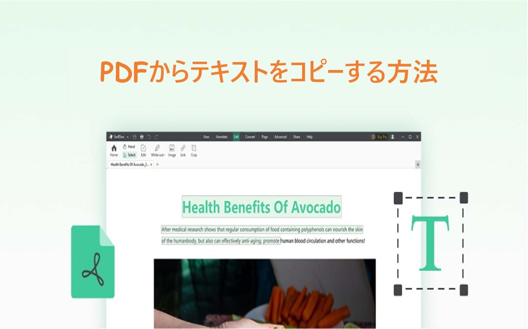 copy-text-from-pdf-jp