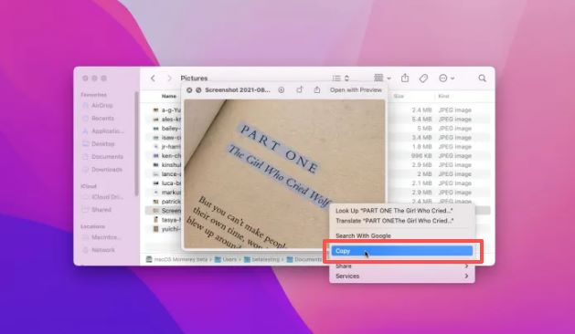 Live Text Copy