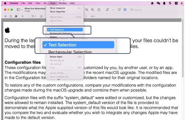 Text Selection