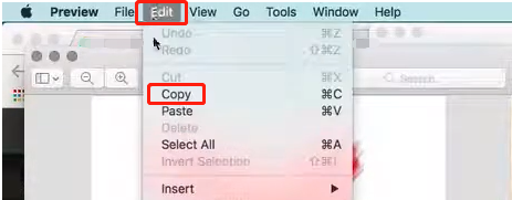 Copy text from PDF on Mac