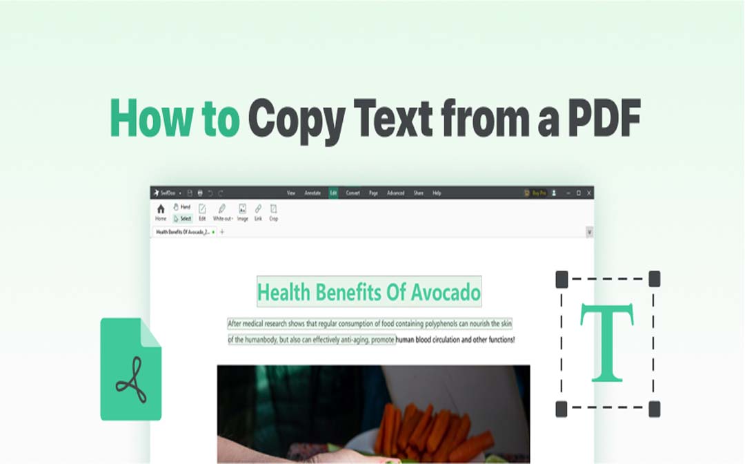 copy-text-from-pdf