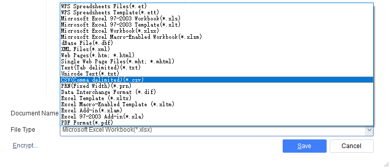 CSV File Format