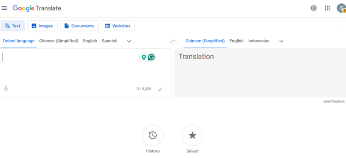 5. Google Translate