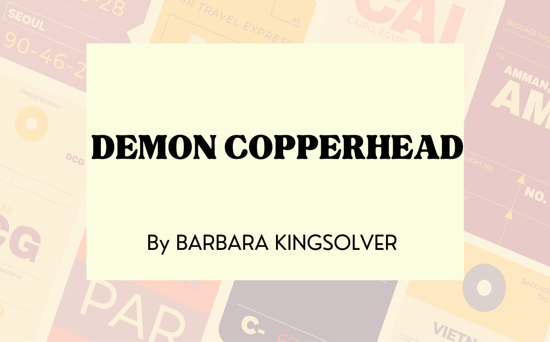 demon-copperhead-barbara-kingsolver