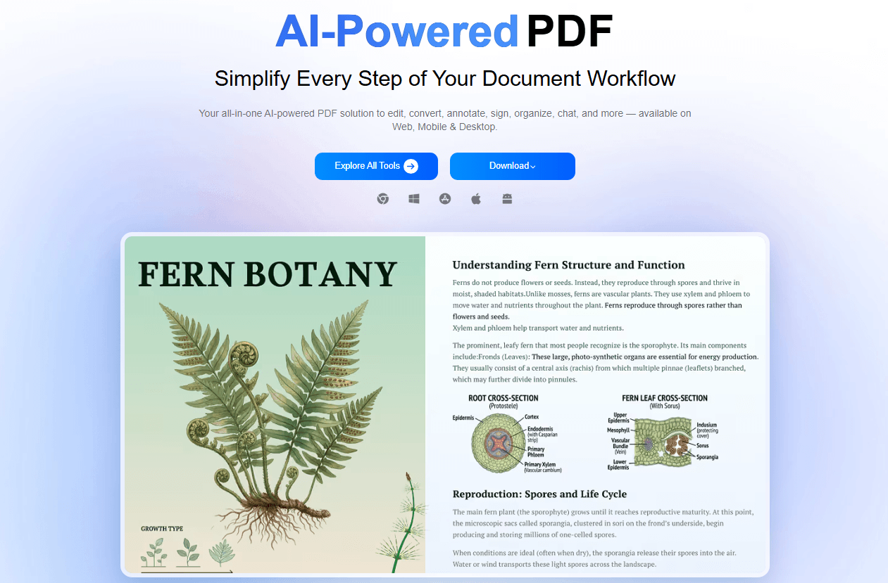 LightPDF interface