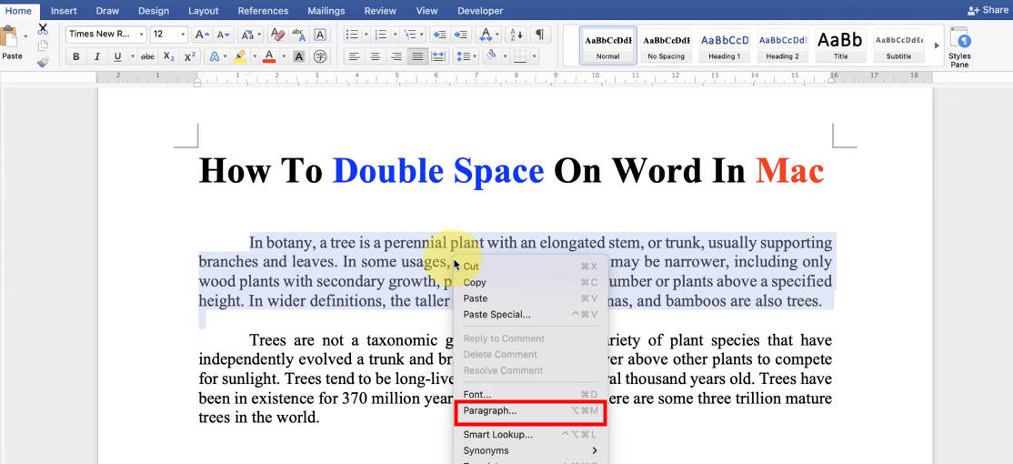 Double space in Word on Mac 1