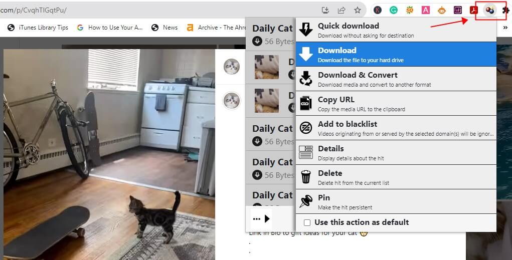 Download Instagram Videos on PC with Browser Extension