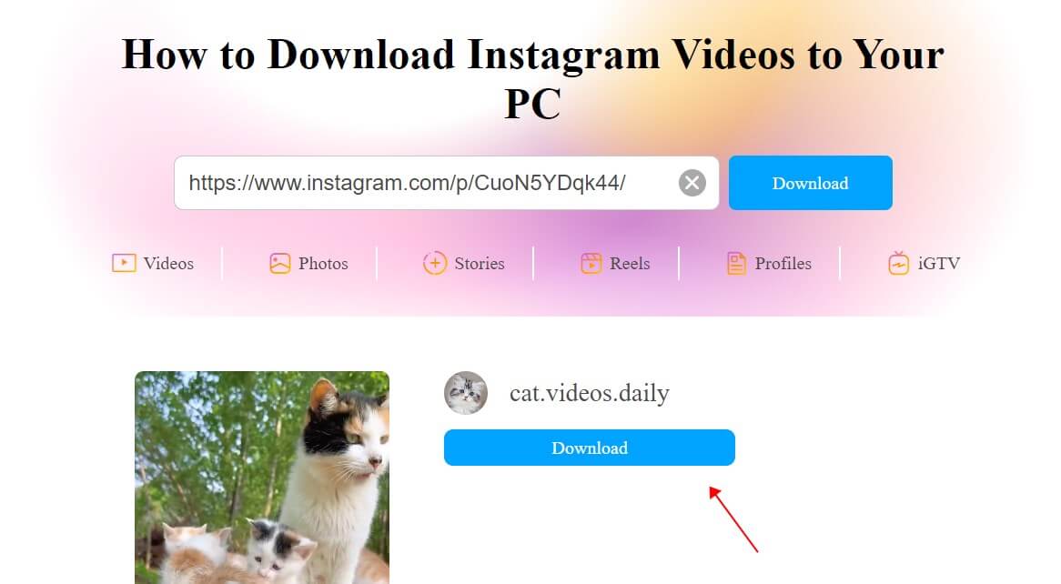 Download Instagram Videos on PC with Online Video Downloader