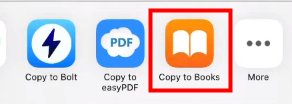 Download PDF to iPhone from Safari 3