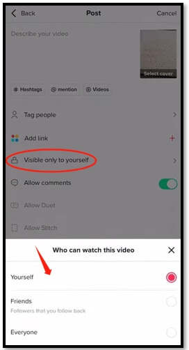 Download TikTok video without posting it to others