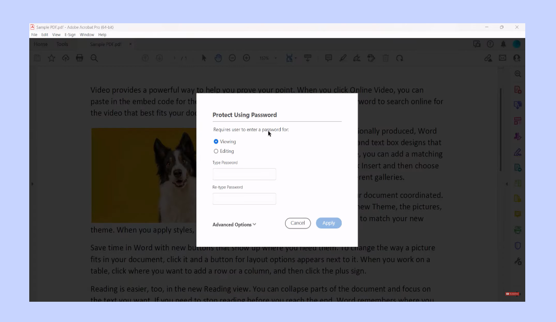 Encrypt a PDF on Mac with Third-party Software Adobe Acrobat