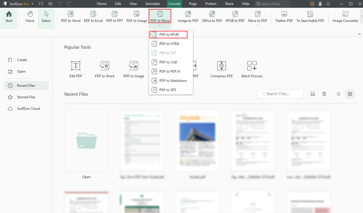 Choose the PDF to EPUB option from the PDF to More list in SwifDoo PDF