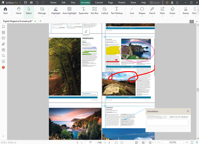 Bonus: Top PDF Converter & Editor for Windows