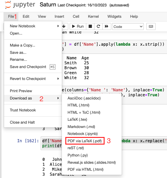 Export PDF from Jupyter Notebook via Latex