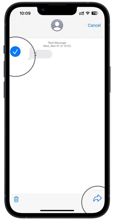 Export text messages from iPhone to PDF - step 3