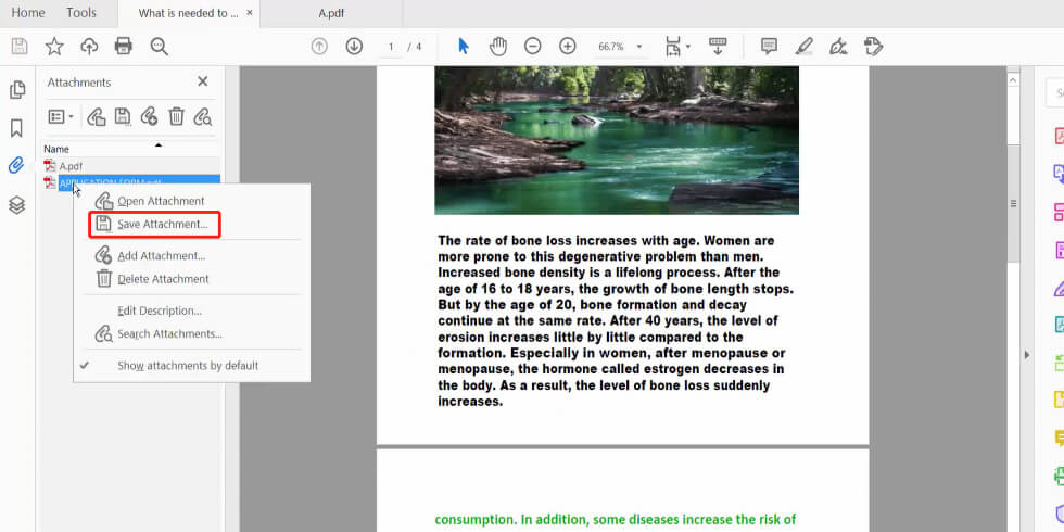 Adobe Save Attachment
