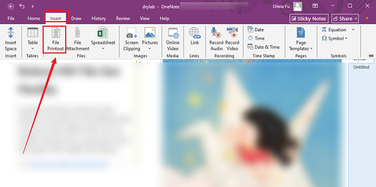 Click Insert and click File Printout to import your PDF image into OneNote