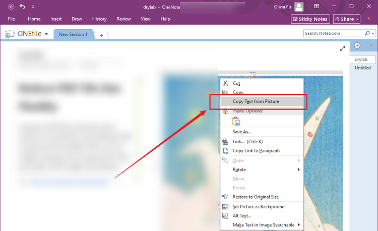 Right-click the PDF image and select Copy Text from Picture to extract text in OneNote